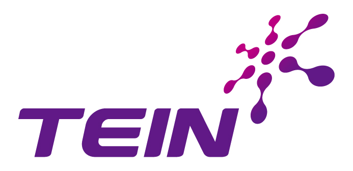 TEIN Logo